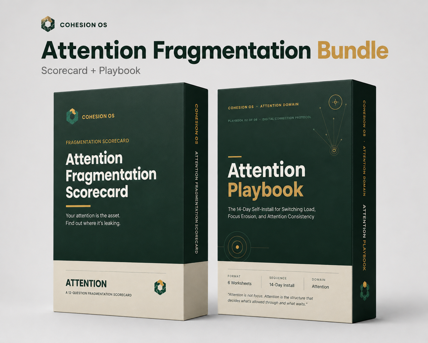 Attention Fragmentation Bundle
