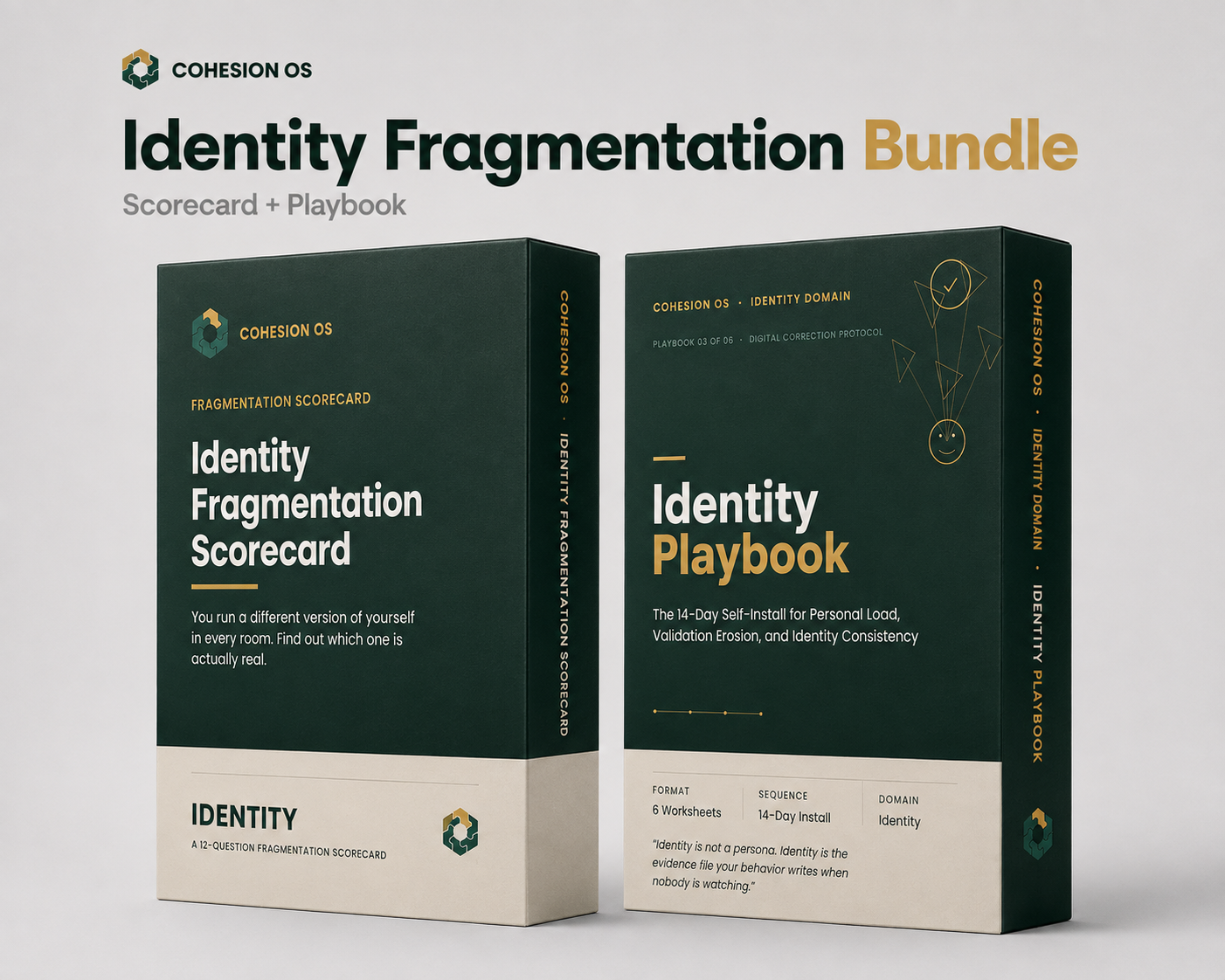 Identity Fragmentation Bundle