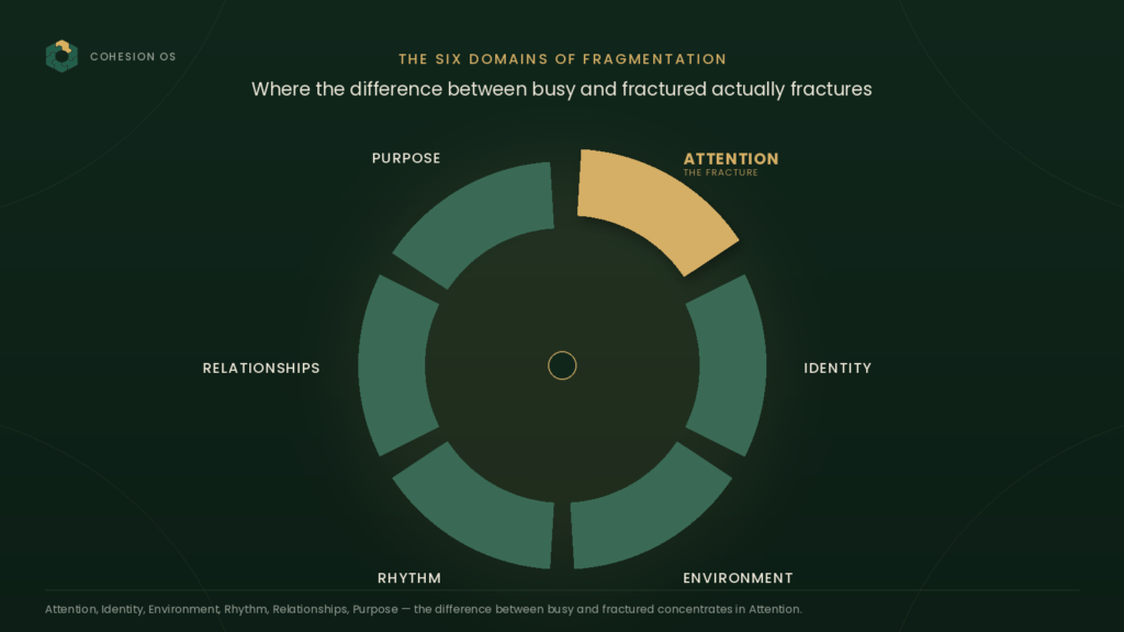 the difference between busy and fractured: the six domains that fracture and compound each other
